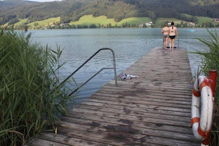 Wunderschoene Ferienwohnung Mit Seeblick Zell am Moos Exteriér fotografie